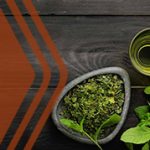 6 نکته مهم در مورد چای سبز