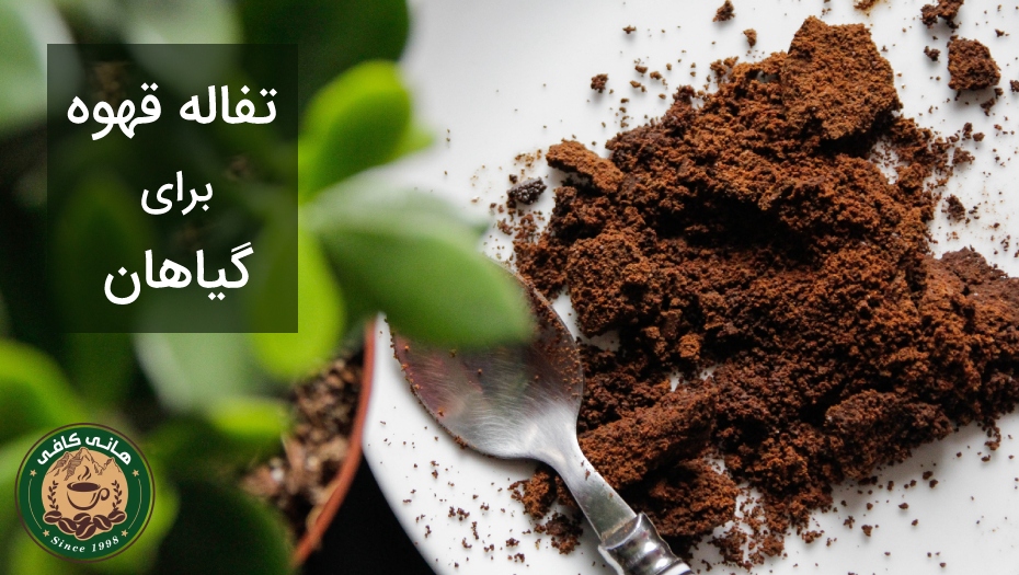 تفاله قهوه برای گیاهان - hanicoffee